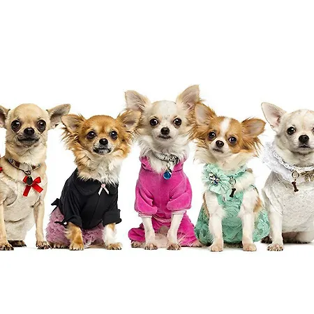 3 Könige Szálloda 3*